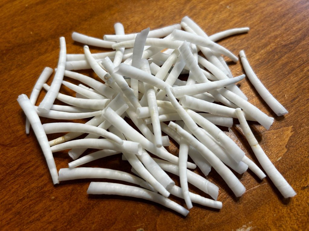 A pile of white Dentalium or tusk mollusk shells. They are specialty of Yamelst and will be featured at the Indigenous makers market.