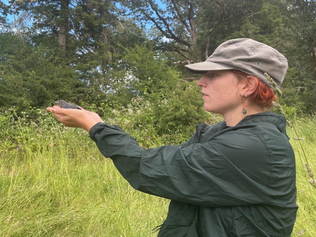 A person holding a bluebird fledgling.