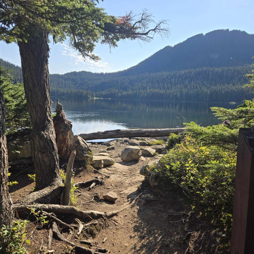 A trail leading up to an alpine lake in Strathcona Park. Sunny day, looks like the summer.