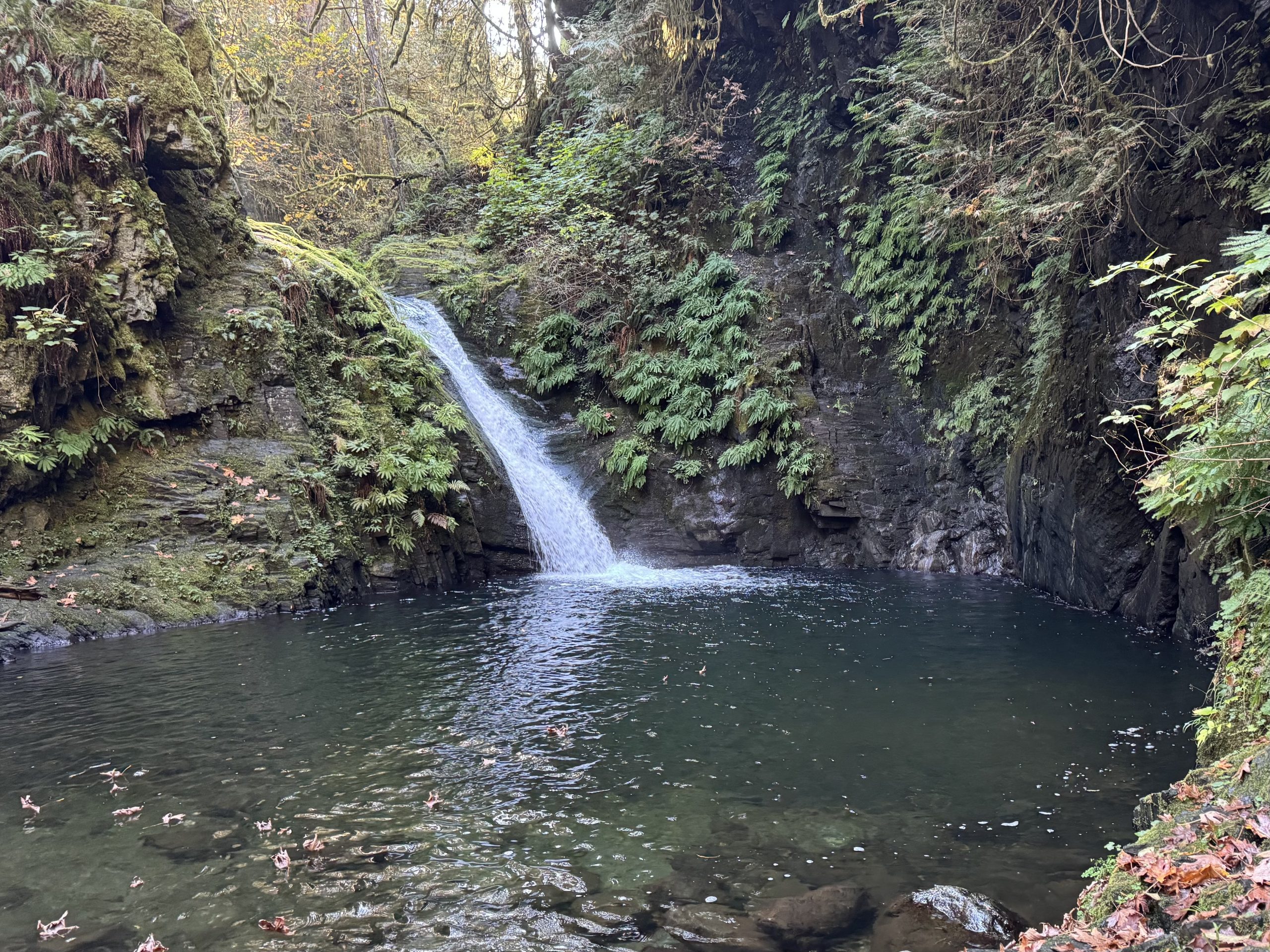 A photo of a waterfall surrounded by trees.