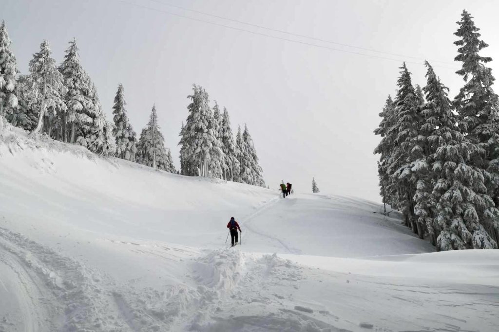 One person in the foreground hikes through a skin track —a trail or track made by backcountry travellers. It is in an alpine environment, and there are two more people in the background hiking along the track. It looks like it has recently snowed, as snow is covering the trees.