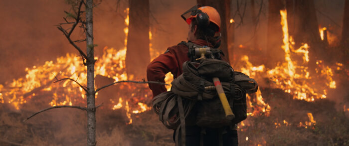 A firefighter stares into the blaze of one of the fires documented in the film Incandescence. In the background, multiple trees are on fire.