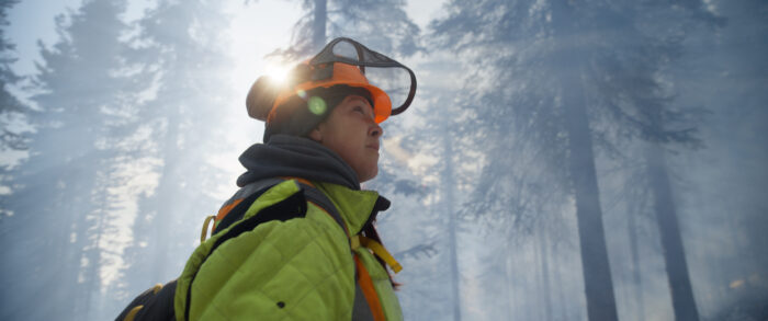 A woman in high viz and a helmet stands in front of a forest with beams of sunlight and smoke behind her. Her gaze is slightly up.