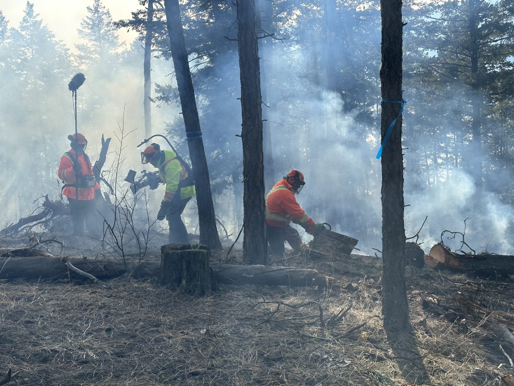 Three people in high viz in a forest. There is smoke around them, and one person is cutting a stump with a chainsaw, and the other two are filming the surrounding area. One holds a camera and one holds a large microphone.