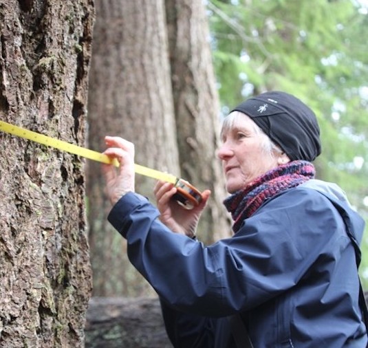 A woman with white hair measures the circumference of a tree.