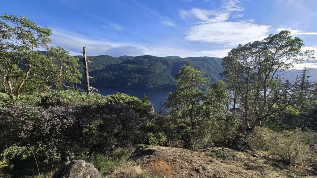 A rocky outcrop with dry plants and arbutus trees at Comox Lake Bluffs Ecological Reserve. The lake and hills can be seen in the background.