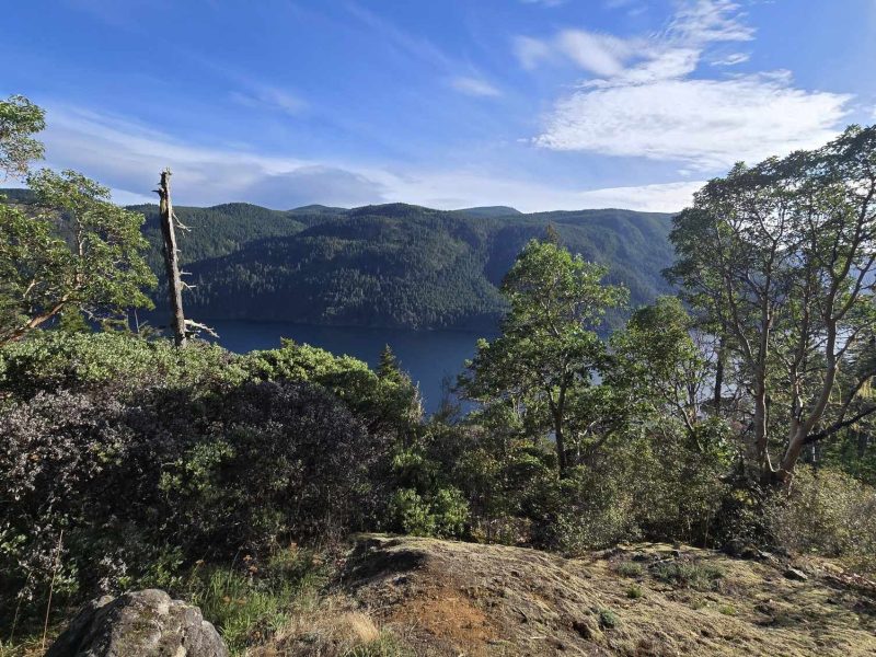 A rocky outcrop with dry plants and arbutus trees at Comox Lake Bluffs Ecological Reserve. The lake and hills can be seen in the background.