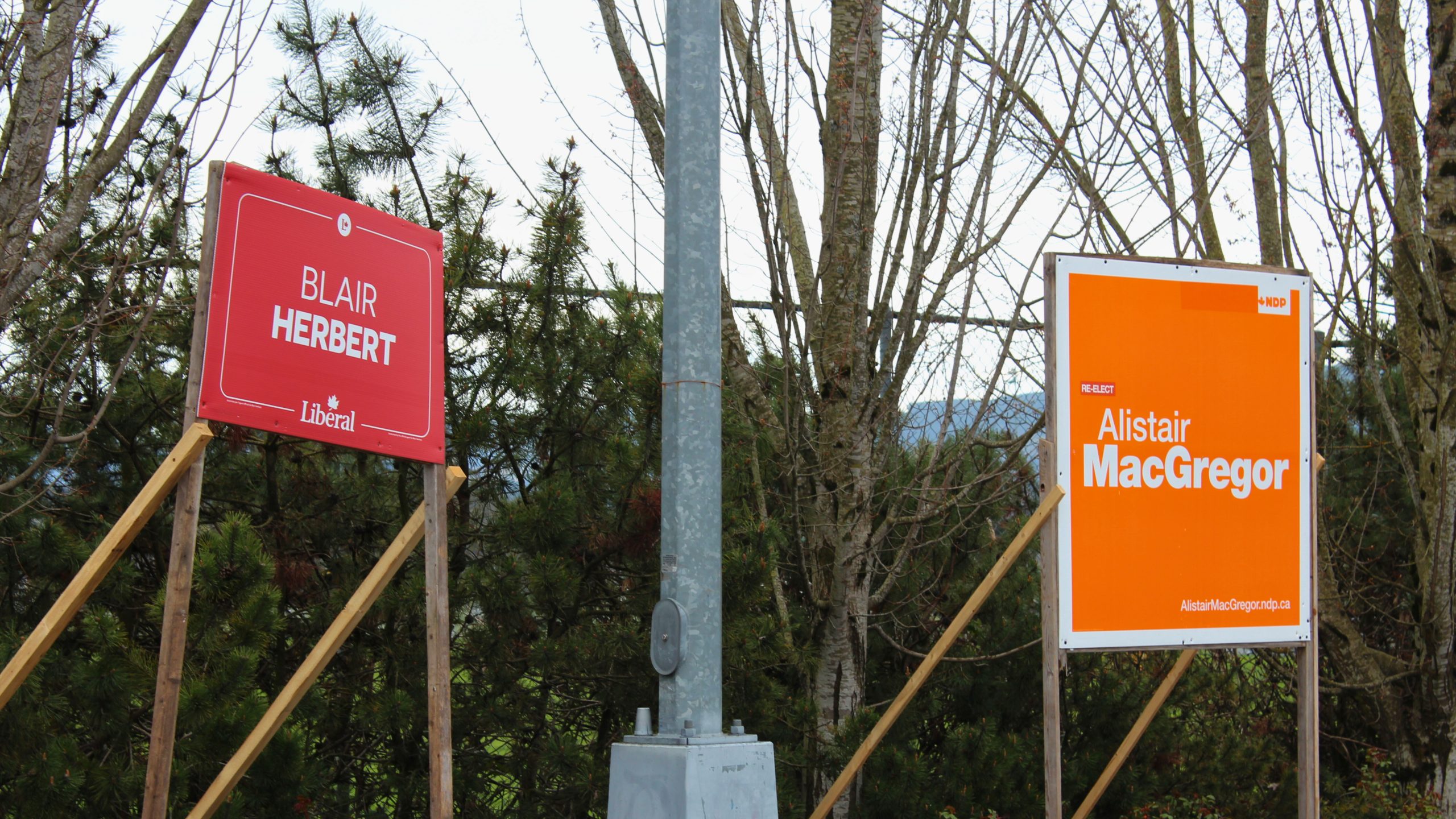 Two federal election candidate signs stand in front of a hedge.