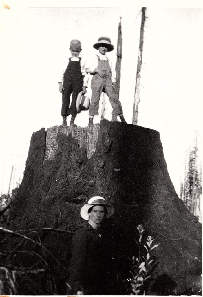 An archival image. Two children stand on top of a large tree stump that towers behind an adult, standing in front.