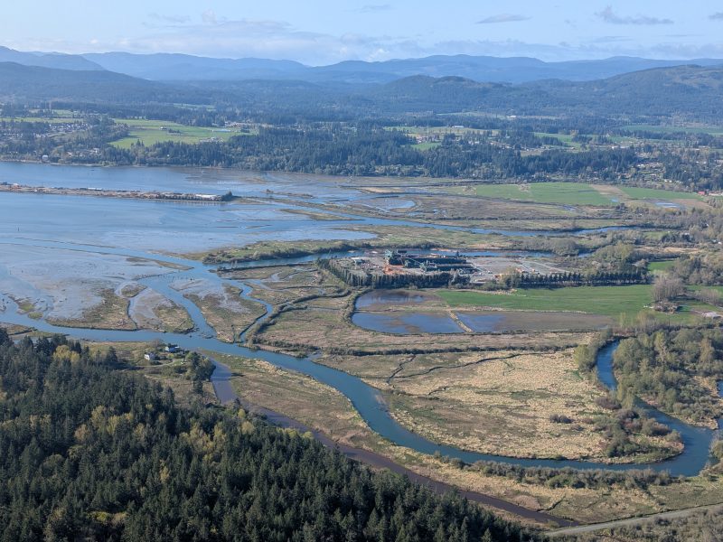 A birds-eye view of the Cowichan estuary.