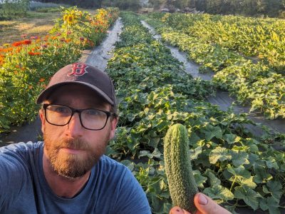 Nick Neisingh stands in front of a row of growing cucumbers.