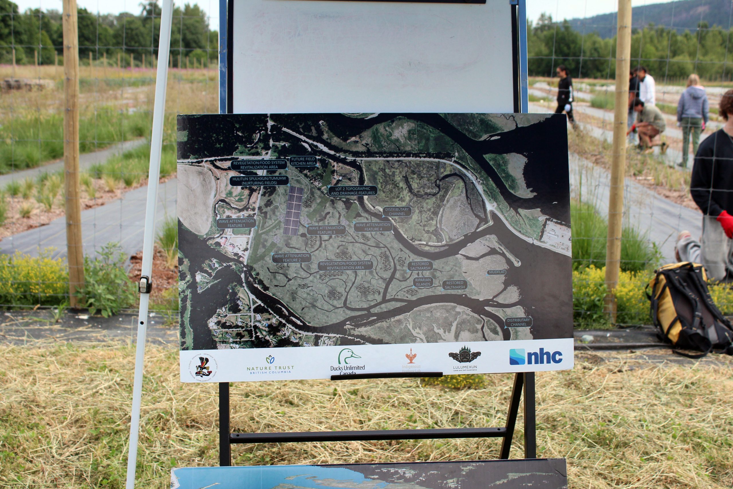 A map by the Nature Trust of BC showing an overhead view of the planned work to restore the estuary by removing existing dikes, and building riparian islands and supporting existing flood mitigation features.