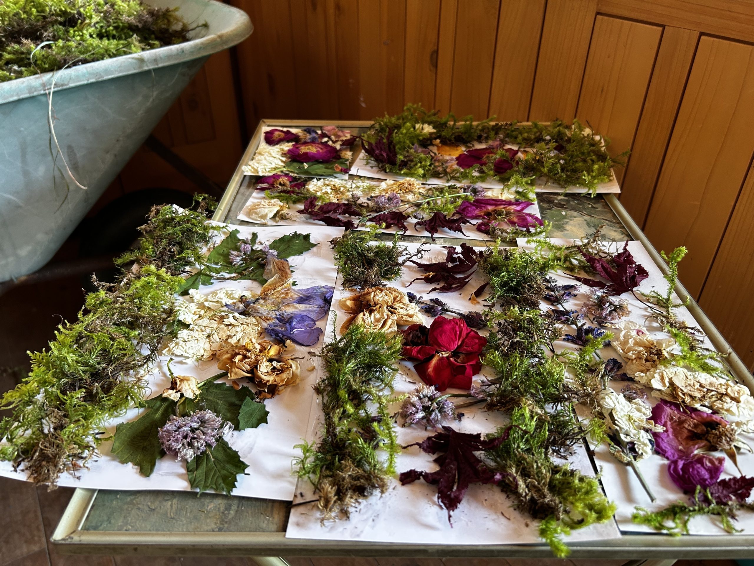Various collages made of flowers and mosses sit on a table created by participants of St. Ann's Garden Club.