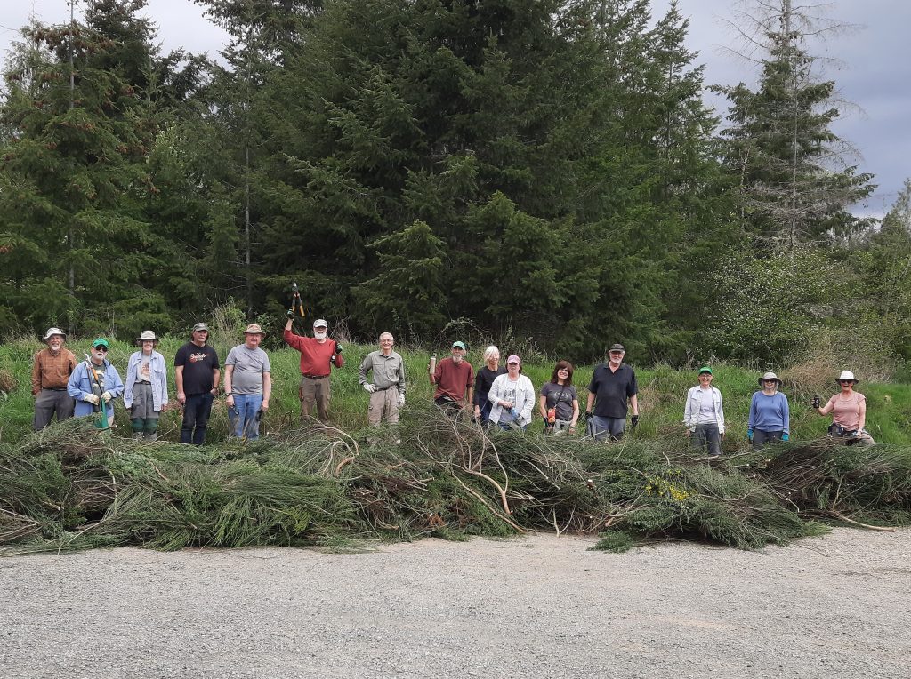 15 people stand in a line next to each other in front of a large pile of dead broom.