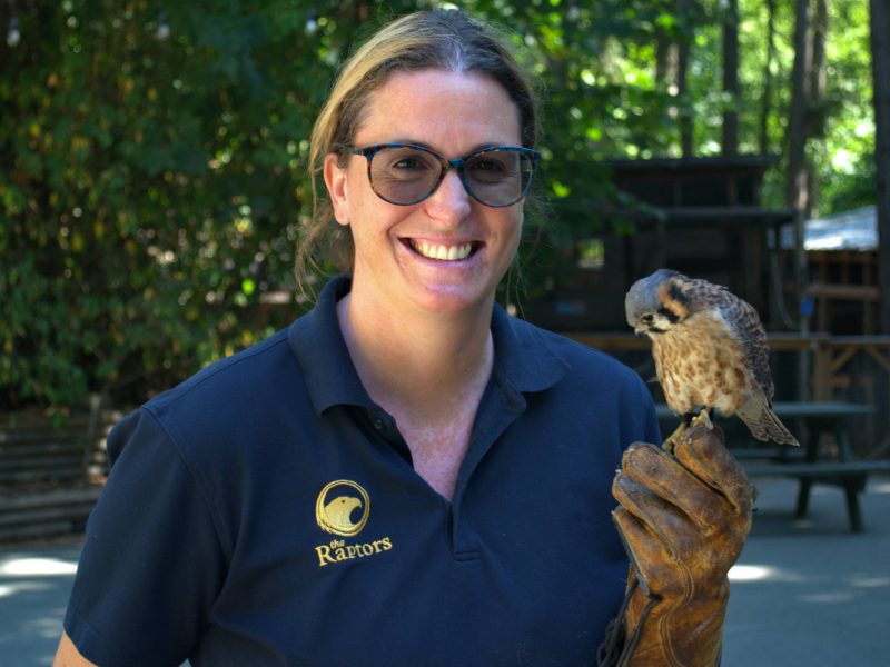 Robyn Radcliffe of The Raptors holds an American kestrel.