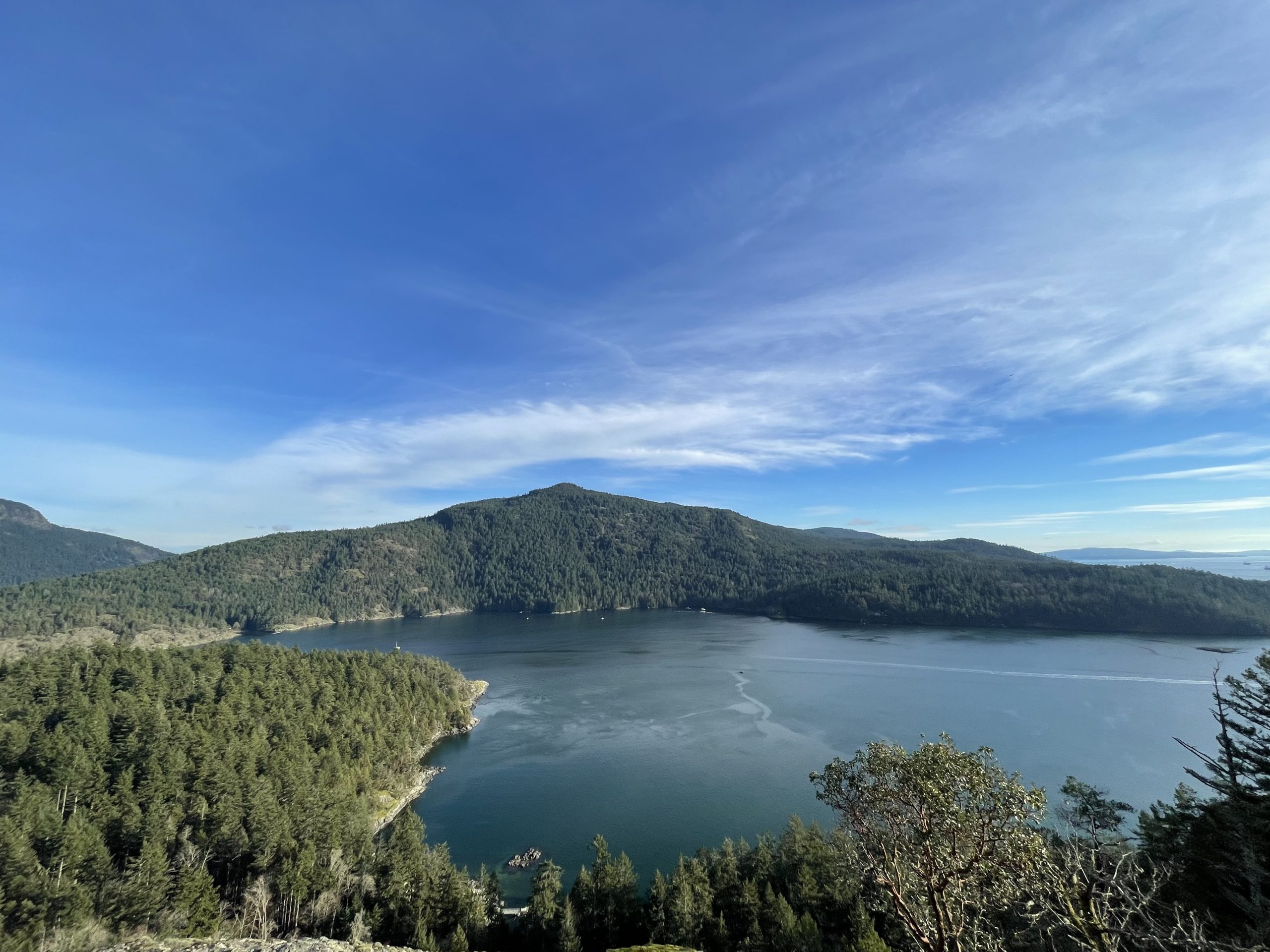 A view from Stony Hill, part of the forest reserve.