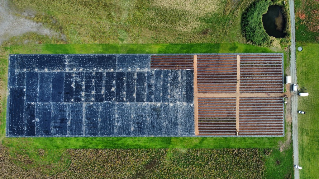 Plant nursery in the Cowichan Estuary