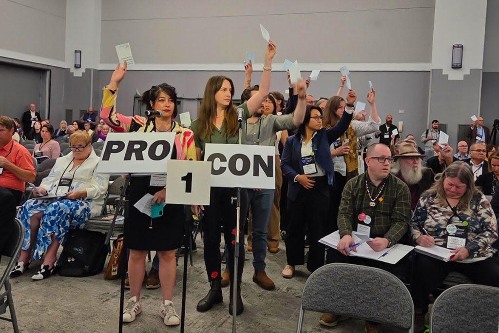 Nanaimo Coun. Hilary Eastmure, standing second in the line, votes in favour of adding an emergency motion calling on the province to take action against Israel to the agenda of the Union of BC Municipalities conference in Victoria on Thursday, Sept. 25, 2025. Photo courtesy of Wren Shaman 
