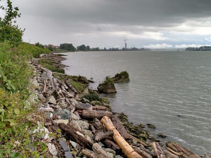 The view of the Fraser river from Tl'uqtinus