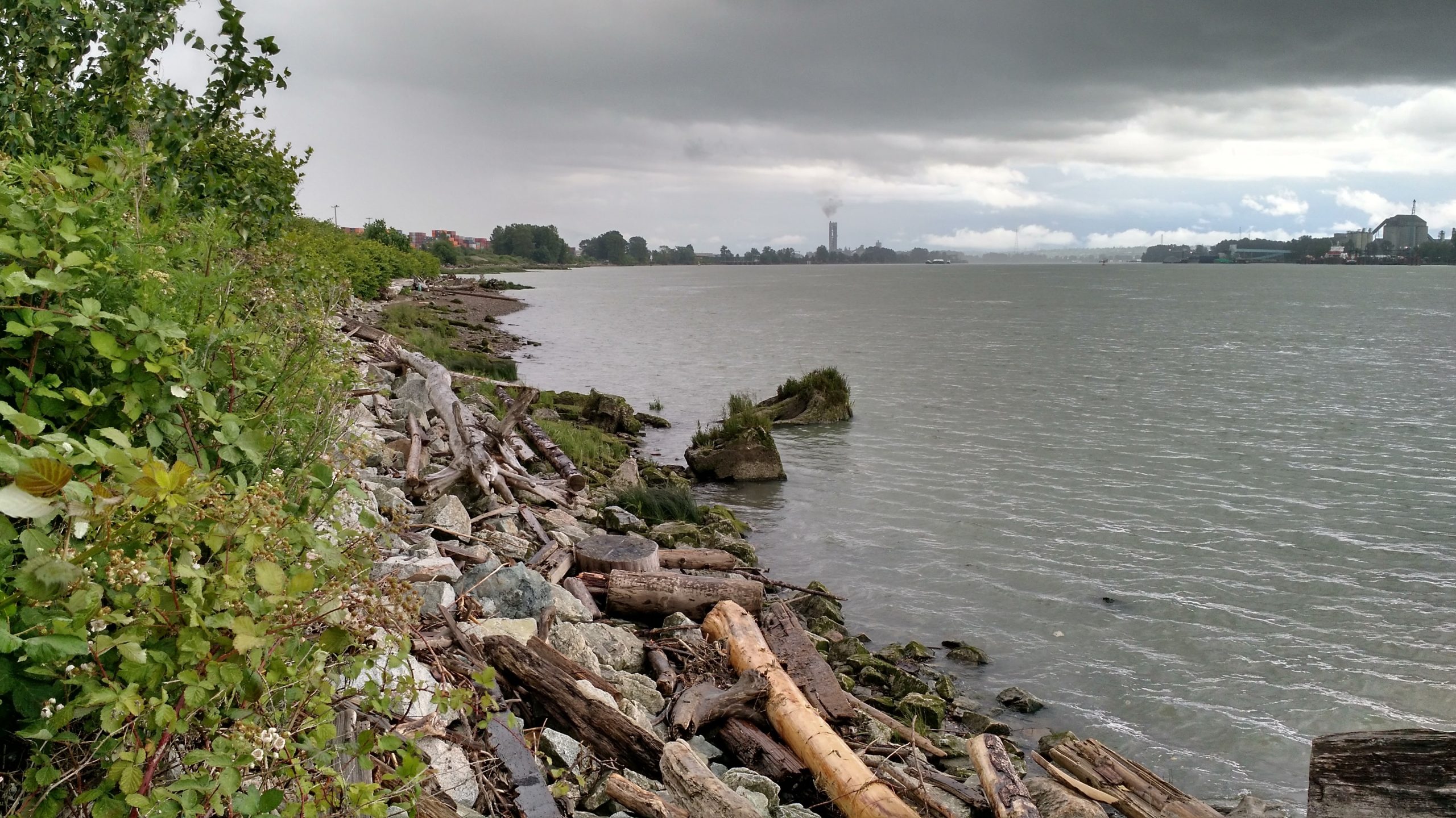 What the Quw’utsun Nation court case reveals about private land ownership and Indigenous title in B.C. – The Discourse.