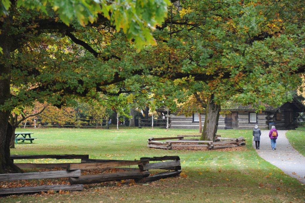 A photo of Filberg Park in Comox and part of its urban forest