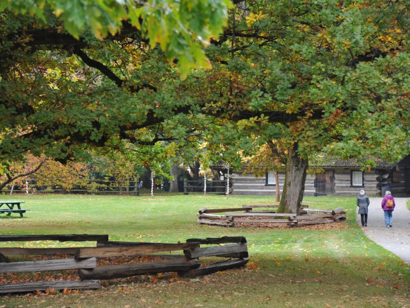 A photo of Filberg Park in Comox and part of its urban forest
