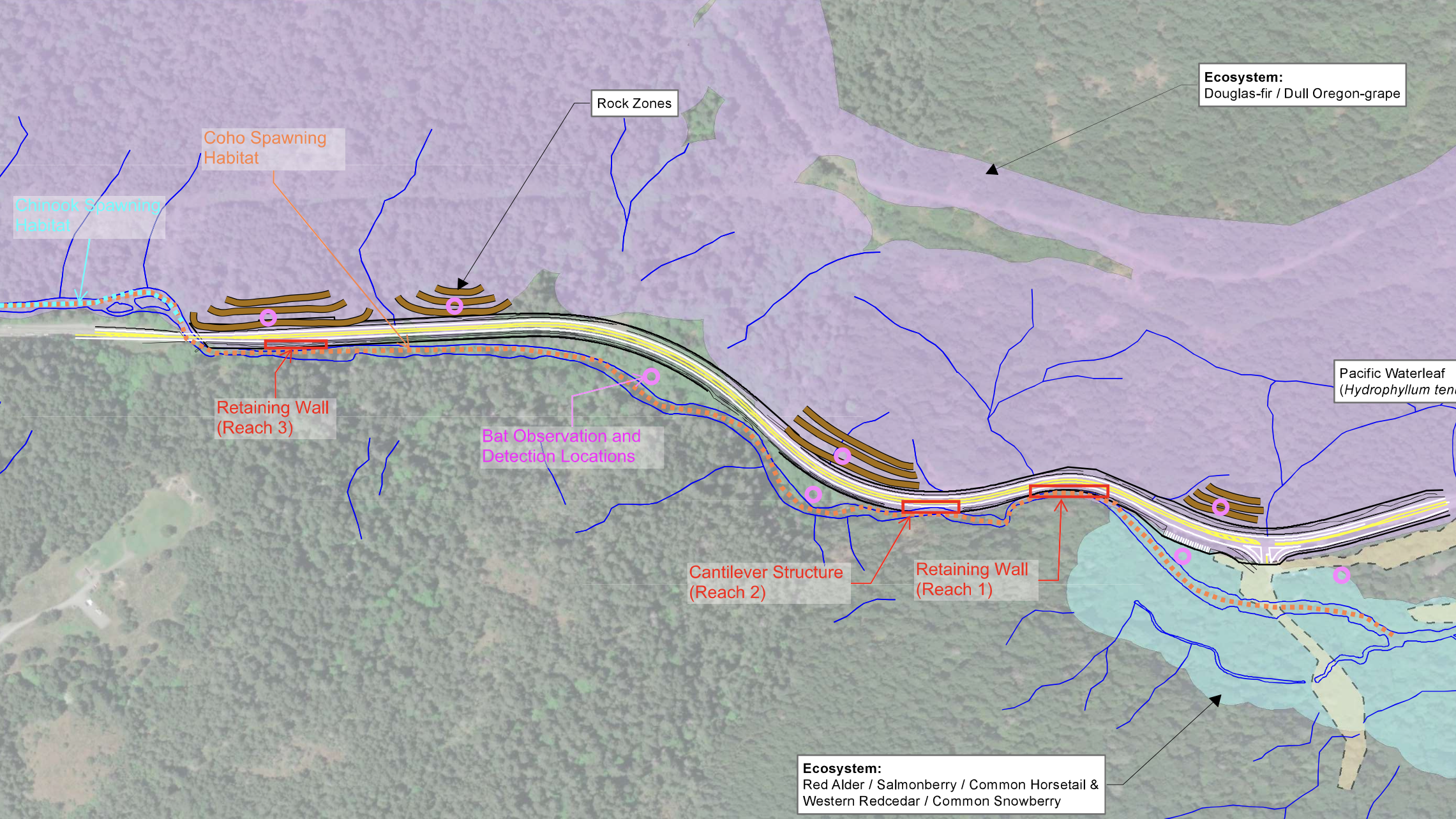 Map of the Malahat Safety Improvment Project and species living in the area.