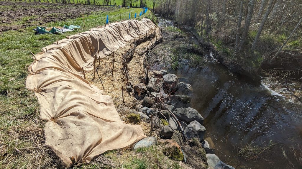 A photo of some streambank restoration work taking place on a farm thanks to LUSH Valley volunteers.