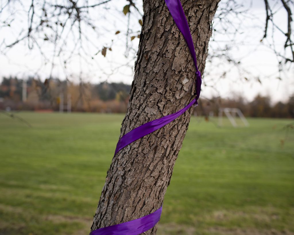 A purple ribbon wrapped around a tree trunk.
