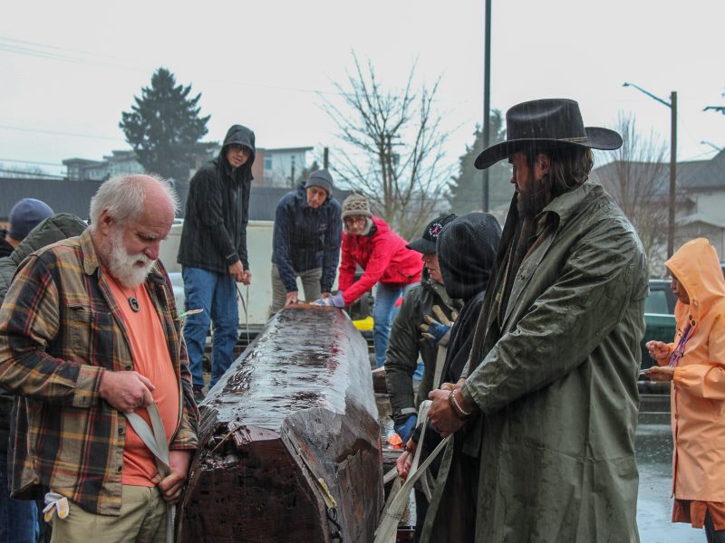 Voulenteers stand on either side of cedar log that is being transported into the Cowichan Valley Arts Council Gallery.
