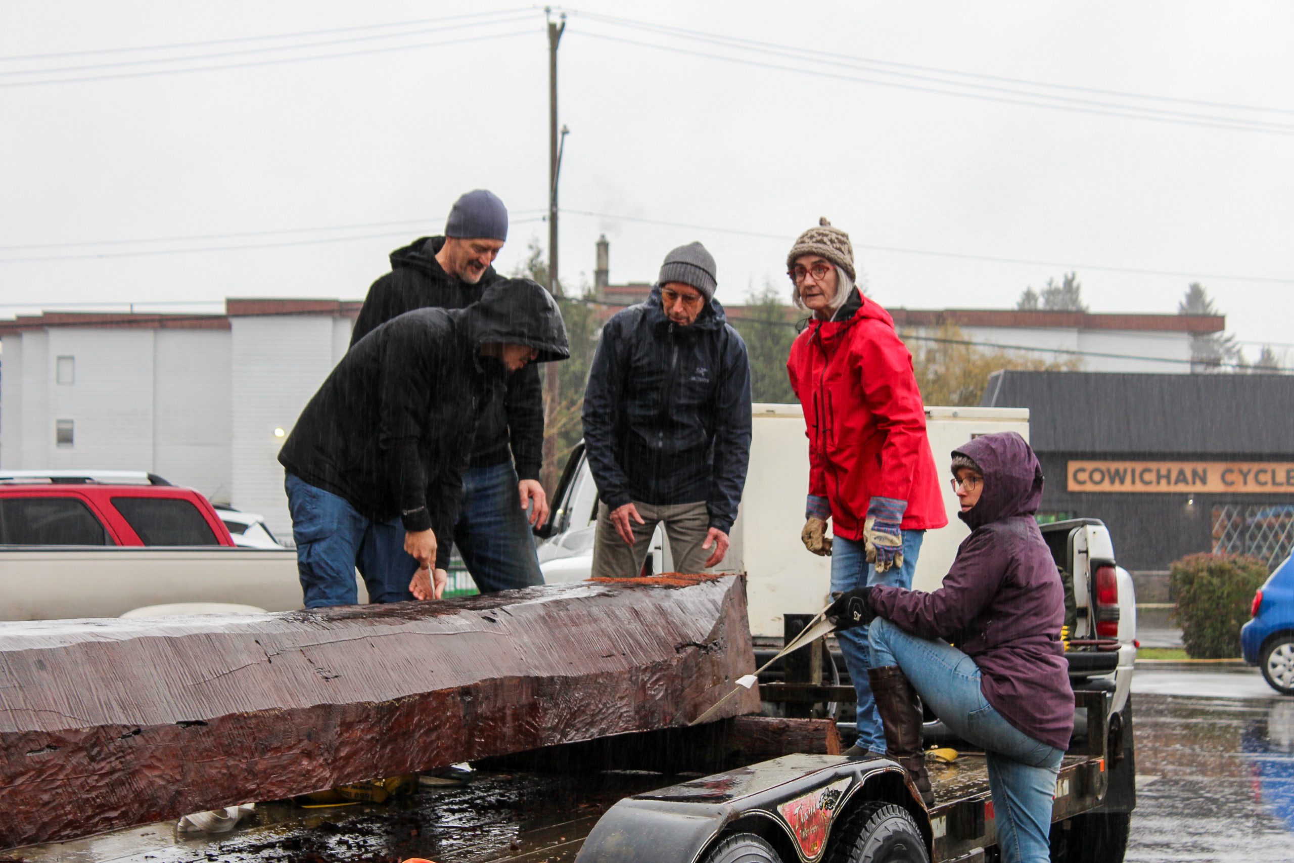 Voulenteers pushed the log off the back of truck, loading it into the Cowichan Valley Art Council gallery.