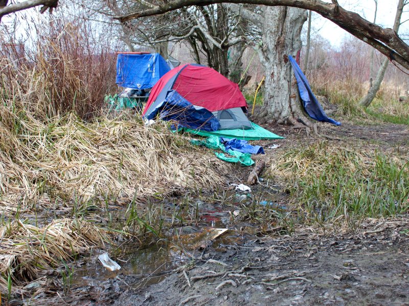 ‘No one in our community is disposable’: Island Health and community call on North Cowichan to rethink sheltering sites