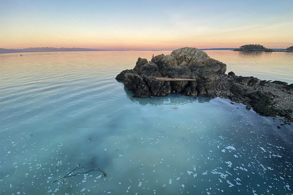 The annual herring spawn in the Salish Sea provides an important event in the aquatic ecosystem feeding salmon, sea mammals and shore birds. It also attracts people who flock to see the waters change colour as seen in this 2024 photo at Neck Point in Nanaimo. Photo courtesy of Mick Sweetman / The Discourse.