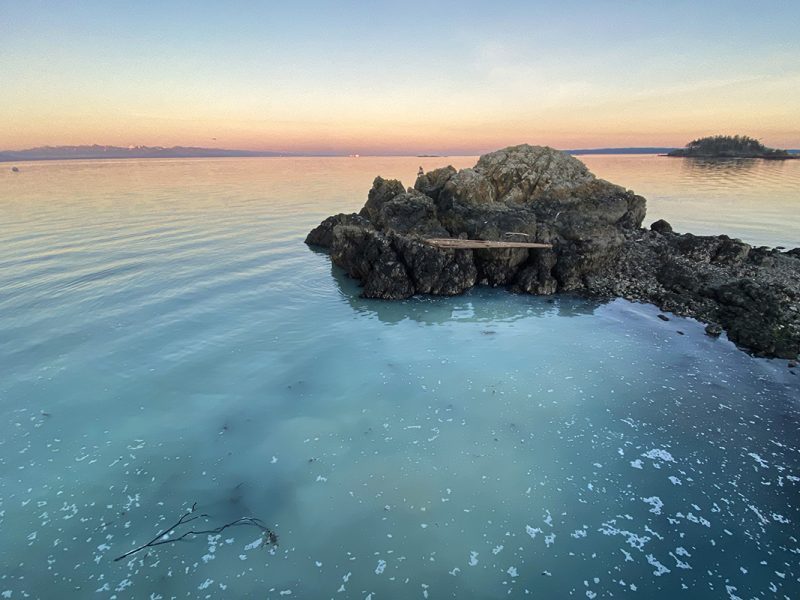 The annual herring spawn in the Salish Sea provides an important event in the aquatic ecosystem feeding salmon, sea mammals and shore birds. It also attracts people who flock to see the waters change colour as seen in this 2024 photo at Neck Point in Nanaimo. Photo courtesy of Mick Sweetman / The Discourse.