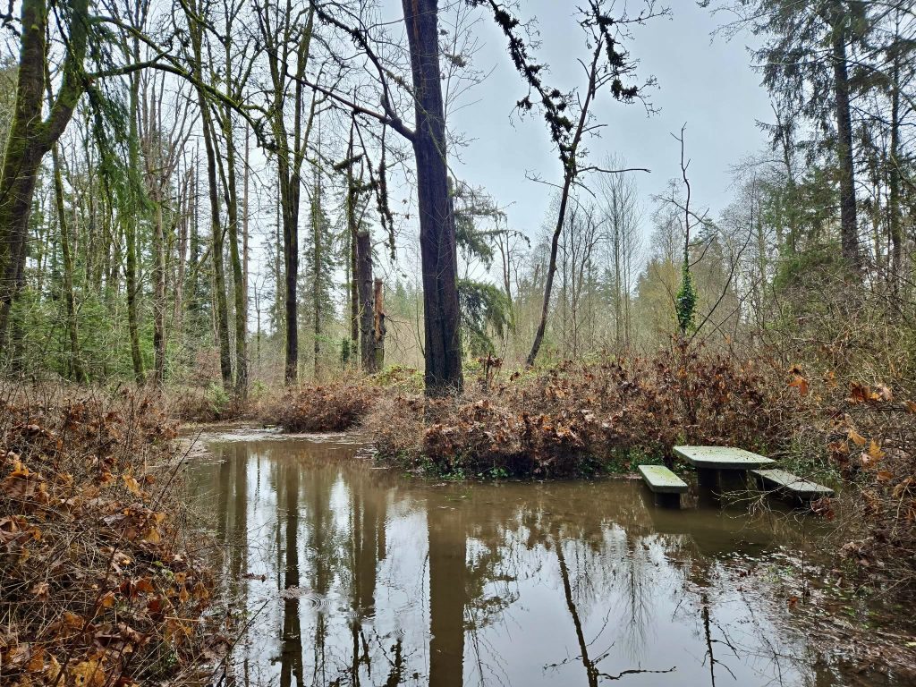 A picnic table sits amidst floodwaters along a trail near the Puntledge River.