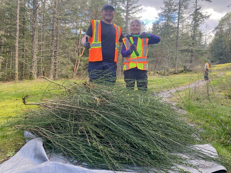Hunter Jarratt (left) and Julie Devereux help remove invasive Scotch broom from Lotus Pinatus Park in Nanaimo on April 2, 2026. Photo by Mick Sweetman / The Discourse.