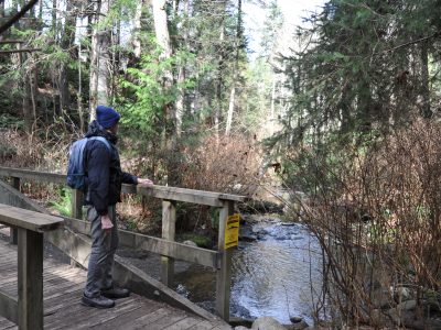 A man stands on a bridge overlooking Brooklyn Creek in a forest setting.
