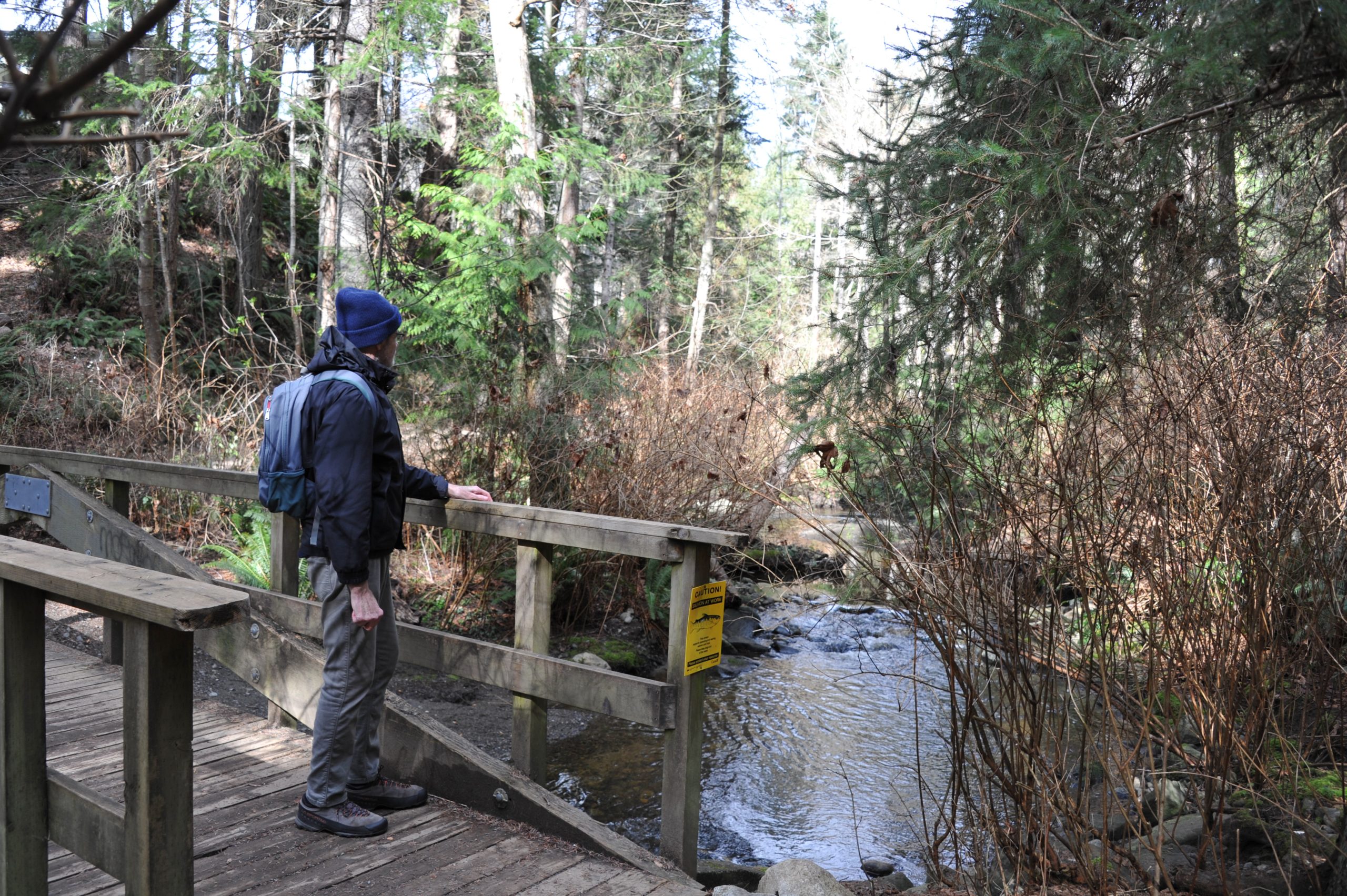 ‘Hanging on by a thread’: Brooklyn Creek Watershed Society’s return from the brink