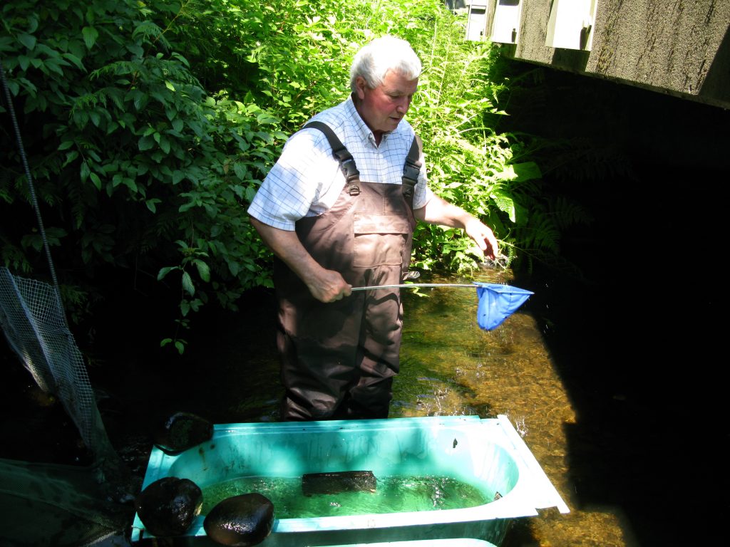 A man stands behind a small tub-like bucket that is filled with water. He holds a long handle with a small net attached to the end.