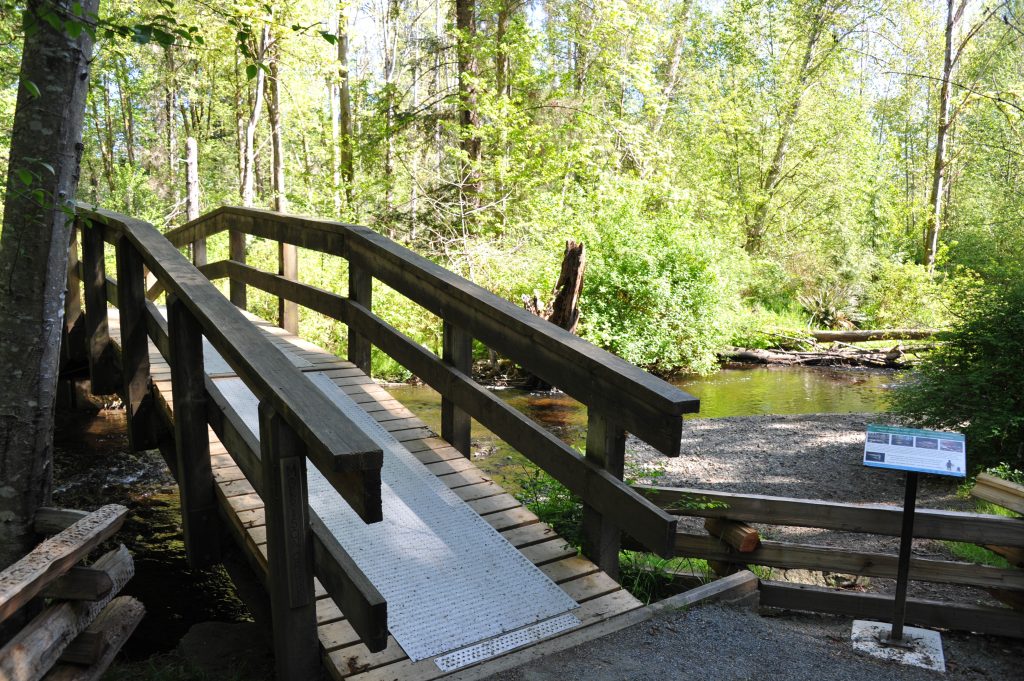 A wooden pedestrian bridge crossing over Morrison Creek.