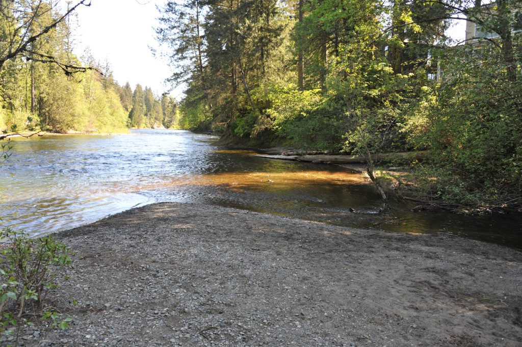 A beach area among the forest where Morrison Creek and the Puntledge River meet.