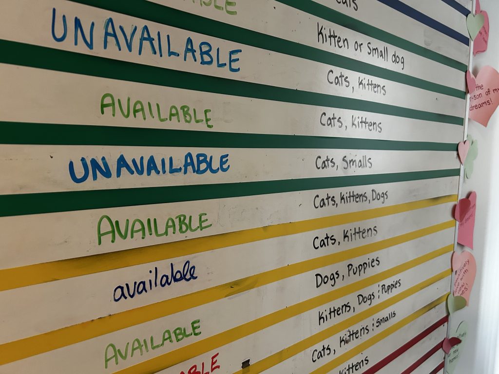 A white board that holds the names of foster homes the BC SPCA team uses for incoming animals.