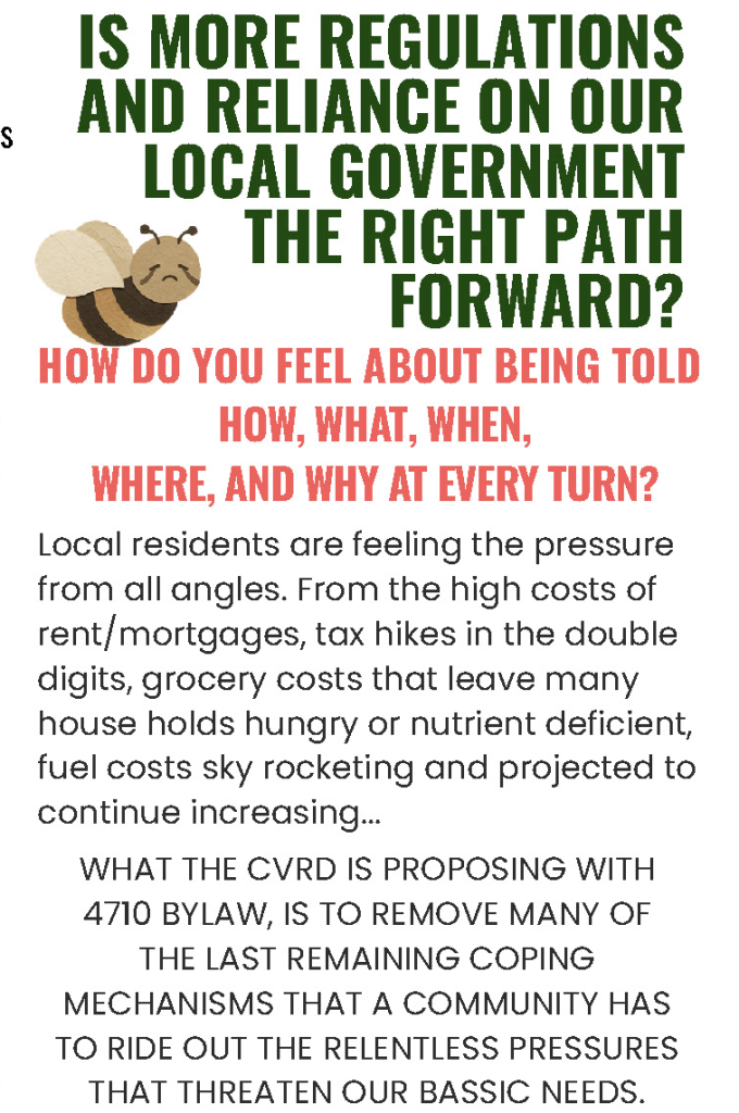A screenshot of a pamphlet titled Is More Regulations And Reliance On Our Local Government The Right Path Forward?