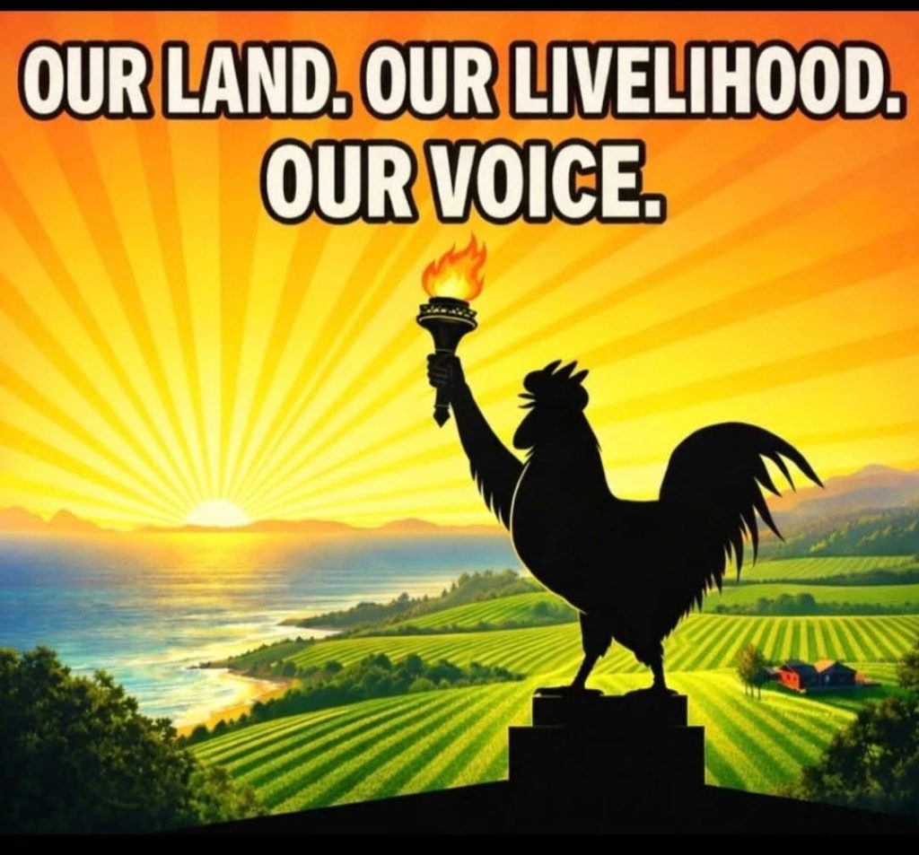 A screenshot that says Our land Our Livelihood Our Voice with a cartoon silhouette of a rooster holding a torch like Lady Liberty with cartoon fields, ocean and a sunset behind.