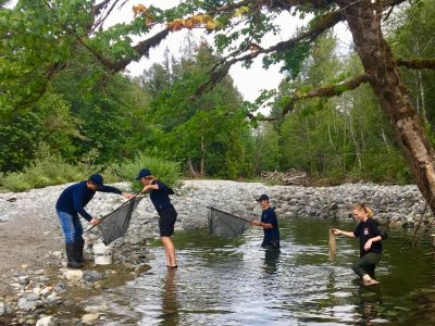 A group of four volunteers stand in a pool of water and on a dry riverbed with nets and buckets to rescue salmon in the Cowichan Valley