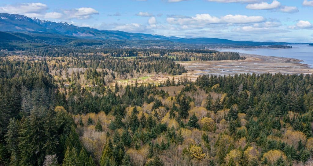 An aerial image of Deep Bay and the forest and mountains surrounding it.