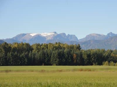 An image of the Comox Glacier in the background with field and forest in the foreground