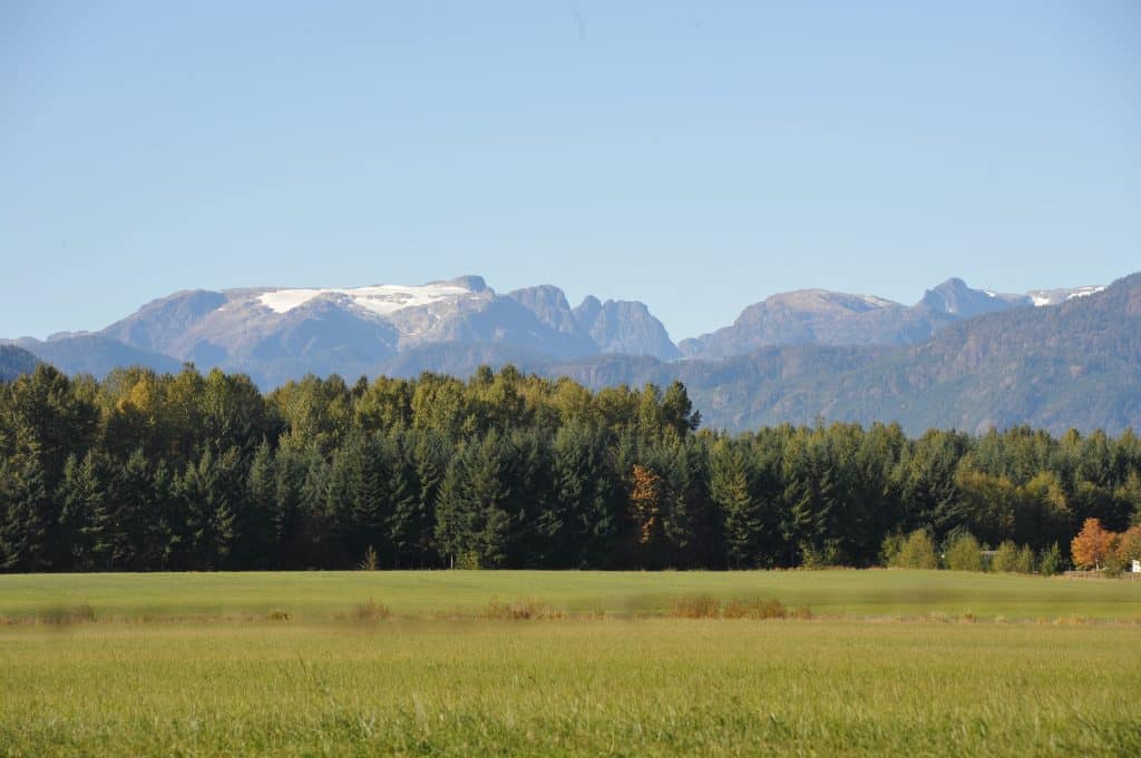 An image of the Comox Glacier in the background with field and forest in the foreground